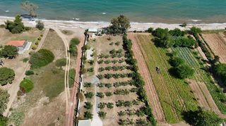 Αγροτεμάχια 13.213 τ.μ. για πώληση, Μεσσηνία, Πεταλίδι-thumb-8
