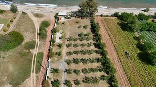 Αγροτεμάχια 13.213 τ.μ. για πώληση, Μεσσηνία, Πεταλίδι-thumb-9