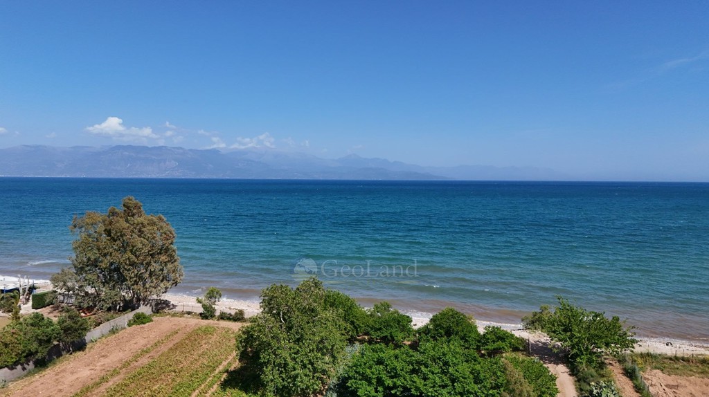 Αγροτεμάχια 13.213 τ.μ. για πώληση, Μεσσηνία, Πεταλίδι