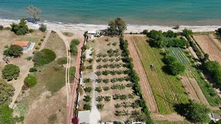 Αγροτεμάχια 13.213 τ.μ. για πώληση, Μεσσηνία, Πεταλίδι-thumb-5