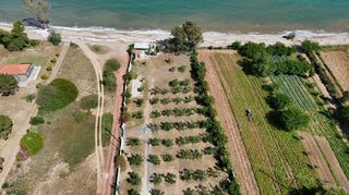 Αγροτεμάχια 13.213 τ.μ. για πώληση, Μεσσηνία, Πεταλίδι-thumb-10