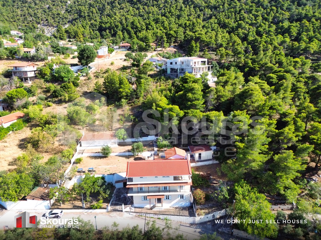 Μονοκατοικία 381 τ.μ. προς πώληση, Πίσια