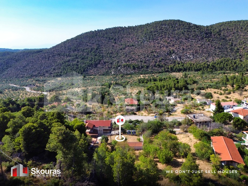 Μονοκατοικία 381 τ.μ. προς πώληση, Πίσια
