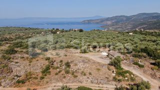 Οικόπεδο 2.268,52 τ.μ. για πώληση