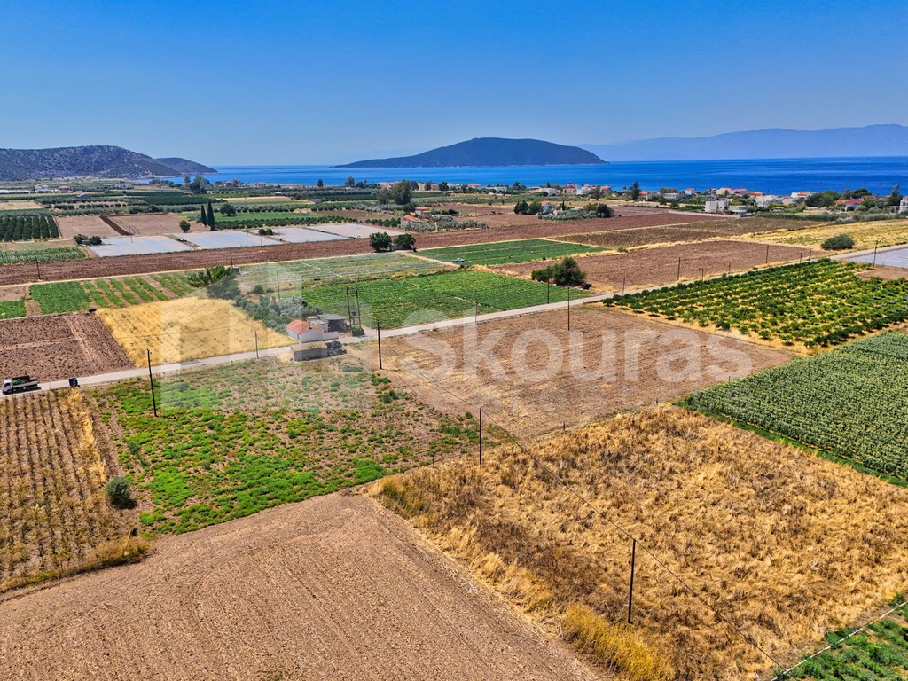 Αγροτεμάχια 7.690 τ.μ. προς πώληση, Ίρια