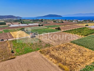 Αγροτεμάχια 7.690 τ.μ. για πώληση, Αργολίδα, Ασίνη-thumb-2