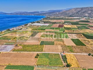 Αγροτεμάχια 7.690 τ.μ. για πώληση, Αργολίδα, Ασίνη-thumb-10
