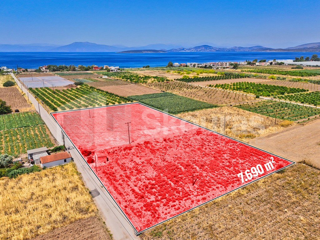 Αγροτεμάχια 7.690 τ.μ. για πώληση, Αργολίδα, Ασίνη