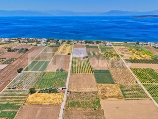 Αγροτεμάχια 7.690 τ.μ. για πώληση, Αργολίδα, Ασίνη-thumb-6