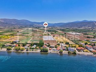 Αγροτεμάχια 7.690 τ.μ. για πώληση, Αργολίδα, Ασίνη-thumb-13