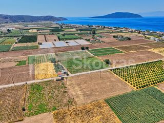 Αγροτεμάχια 7.690 τ.μ. για πώληση, Αργολίδα, Ασίνη-thumb-4