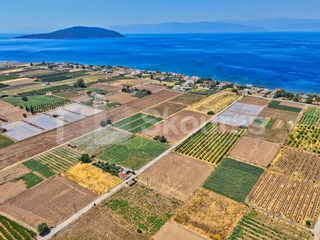 Αγροτεμάχια 7.690 τ.μ. για πώληση, Αργολίδα, Ασίνη-thumb-5