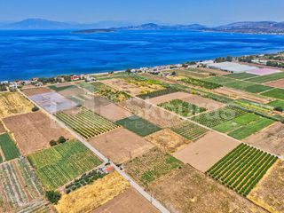 Αγροτεμάχια 7.690 τ.μ. για πώληση, Αργολίδα, Ασίνη-thumb-7