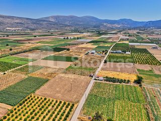 Αγροτεμάχια 7.690 τ.μ. για πώληση, Αργολίδα, Ασίνη-thumb-12