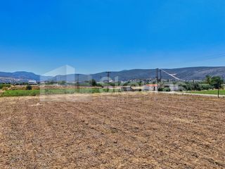 Αγροτεμάχια 7.690 τ.μ. για πώληση, Αργολίδα, Ασίνη-thumb-18