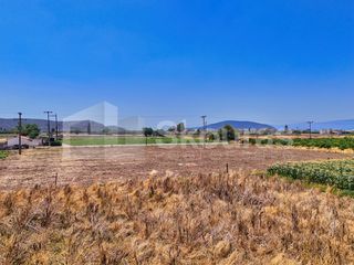 Αγροτεμάχια 7.690 τ.μ. για πώληση, Αργολίδα, Ασίνη-thumb-19