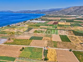 Αγροτεμάχια 7.690 τ.μ. για πώληση, Αργολίδα, Ασίνη-thumb-9