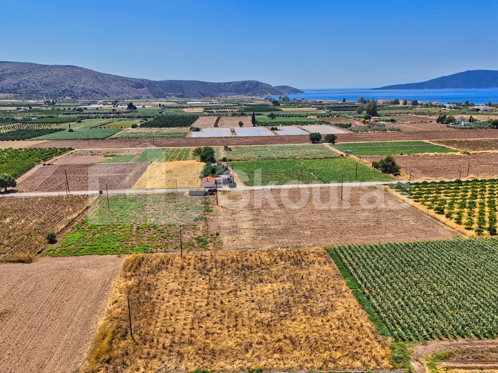 Αγροτεμάχια 7.690 τ.μ. προς πώληση, Ίρια