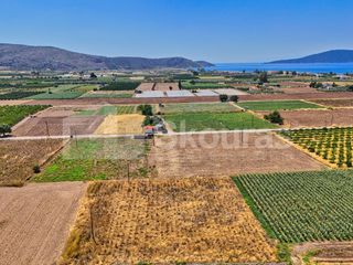 Αγροτεμάχια 7.690 τ.μ. για πώληση, Αργολίδα, Ασίνη-thumb-3