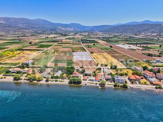 Αγροτεμάχια 7.690 τ.μ. για πώληση, Αργολίδα, Ασίνη-thumb-14