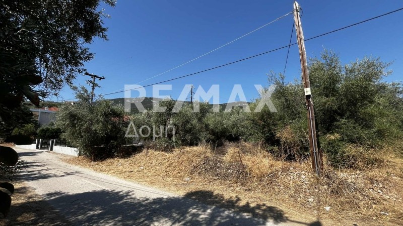 Αγροτεμάχια 1.145 τ.μ. πρός πώληση, Μαγνησία, Σούρπη
