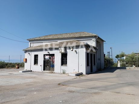 Επιχειρηματικό κτίριο 65τ.μ. για ενοικίαση-Αρτέμιδα » Άνω λεχώνια