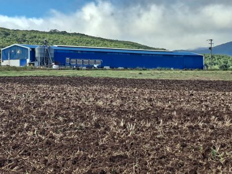 Parcel 29.125sqm for sale-Domokos » Makrolivado