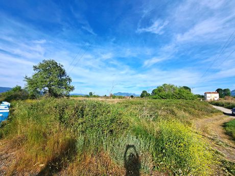 Parcel 40.000sqm for sale-Kamena Vourla » Kainourgio