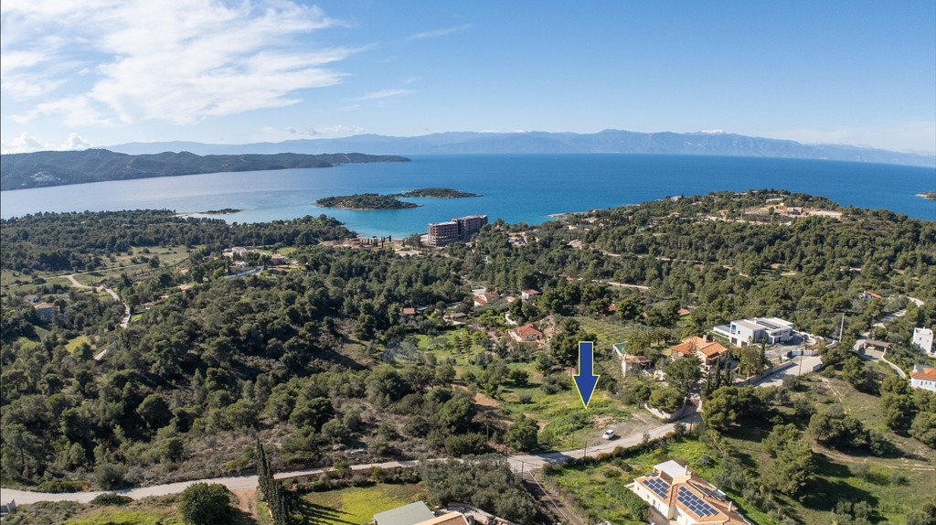 Αγροτεμάχια 9.000 τ.μ. προς πώληση, Χηνίτσα