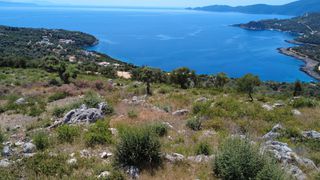 Αγροτεμάχια 4.500 τ.μ. για πώληση, Ν. Λευκάδας, Λευκάδα-thumb-17