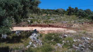 Αγροτεμάχια 4.500 τ.μ. για πώληση, Ν. Λευκάδας, Λευκάδα-thumb-19