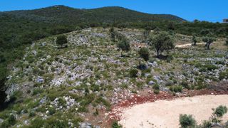 Αγροτεμάχια 4.500 τ.μ. για πώληση, Ν. Λευκάδας, Λευκάδα-thumb-15