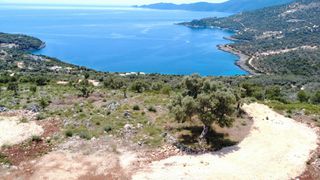 Αγροτεμάχια 4.500 τ.μ. για πώληση, Ν. Λευκάδας, Λευκάδα-thumb-5