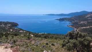 Αγροτεμάχια 4.500 τ.μ. για πώληση, Ν. Λευκάδας, Λευκάδα-thumb-6