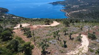 Αγροτεμάχια 4.500 τ.μ. για πώληση, Ν. Λευκάδας, Λευκάδα-thumb-7