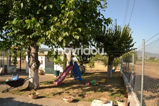 Βιοτεχνικός χώρος 907,86 τ.μ. για πώληση, Ν. Ξάνθης, Ξάνθη-thumb-5