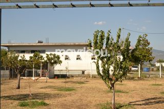 Βιοτεχνικός χώρος 907,86 τ.μ. για πώληση, Ν. Ξάνθης, Ξάνθη-thumb-1
