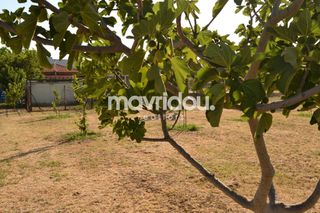 Βιοτεχνικός χώρος 907,86 τ.μ. για πώληση, Ν. Ξάνθης, Ξάνθη-thumb-3