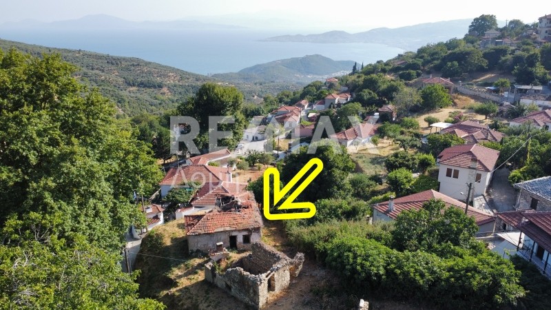 Οικόπεδο 690 τ.μ. πρός πώληση, Μαγνησία, Πορταριά