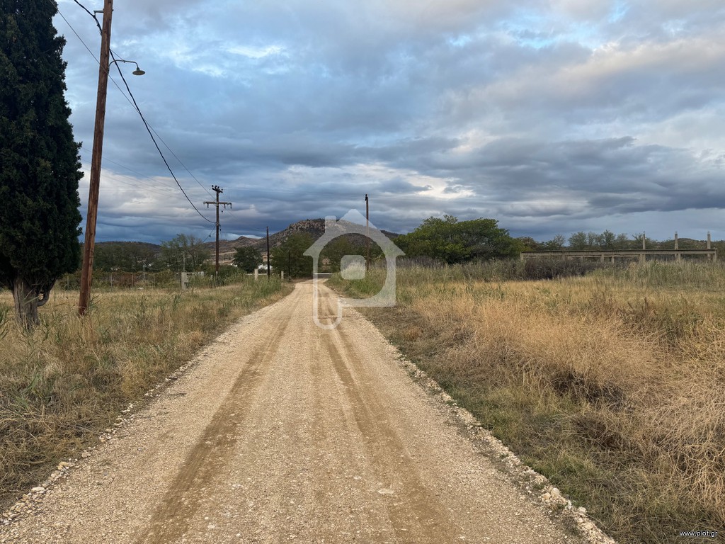 Αγροτεμάχια 8.424 τ.μ. πρός πώληση, Εβρος, Τραϊανούπολη