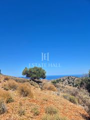 Οικόπεδο 5.732 τ.μ. προς πώληση, Κάτω Πινές-thumb-3