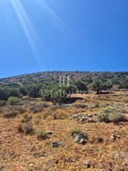 Οικόπεδο 5.732 τ.μ. προς πώληση, Κάτω Πινές-thumb-2