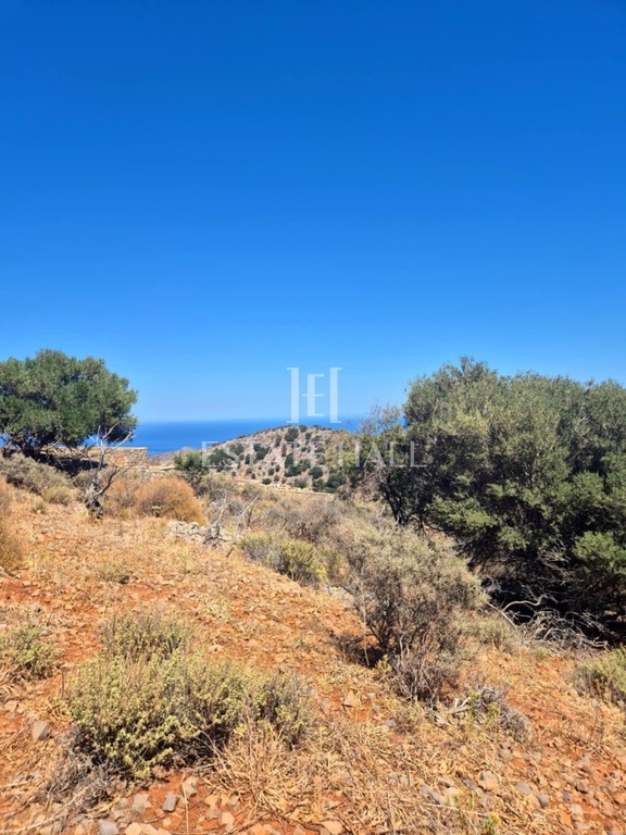 Οικόπεδο 5.732 τ.μ. πρός πώληση, Ν. Λασιθίου, Άγιος Νικόλαος