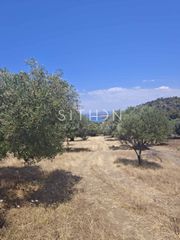 Αγροτεμάχια 1.586 τ.μ. για πώληση