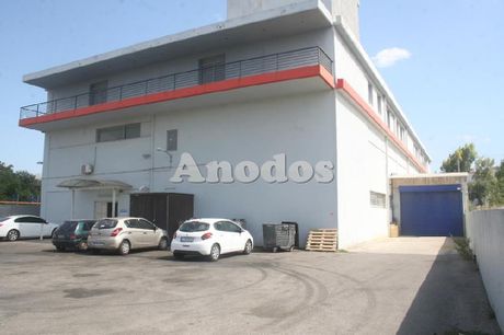 Office 1.170sqm for rent-Lykovrisi » Zoodochos Pigi
