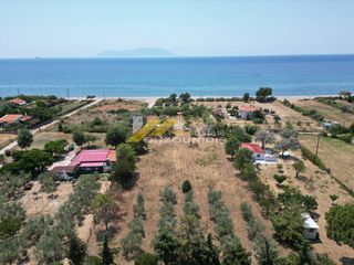 Αγροτεμάχια 4.400 τ.μ. για πώληση