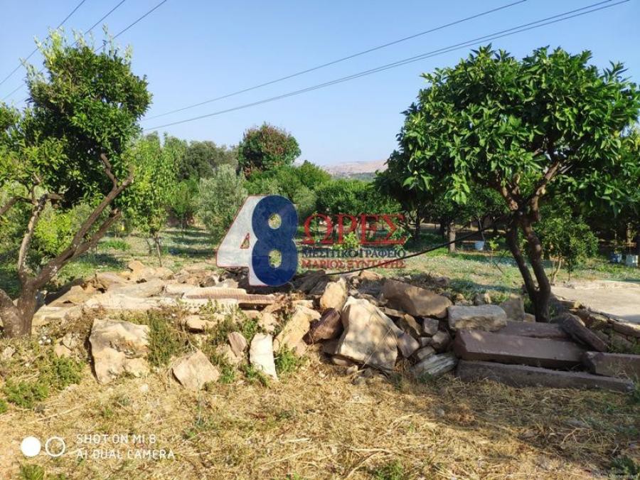 Κτίριο 5.508 τ.μ. πρός πώληση, Ν. Χίου, Χίος