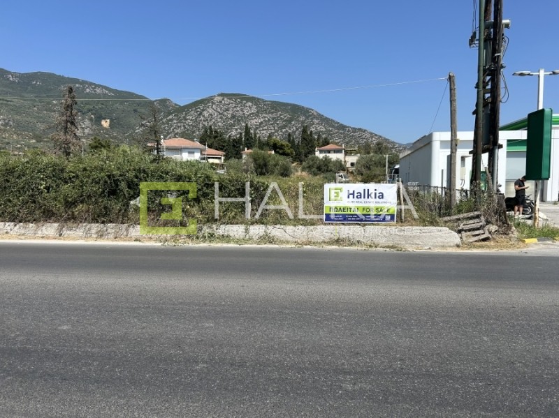 Οικόπεδο 1.828 τ.μ. πρός πώληση, Μαγνησία, Αγριά