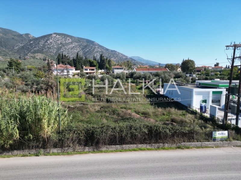 Οικόπεδο 1.828 τ.μ. πρός πώληση, Μαγνησία, Αγριά