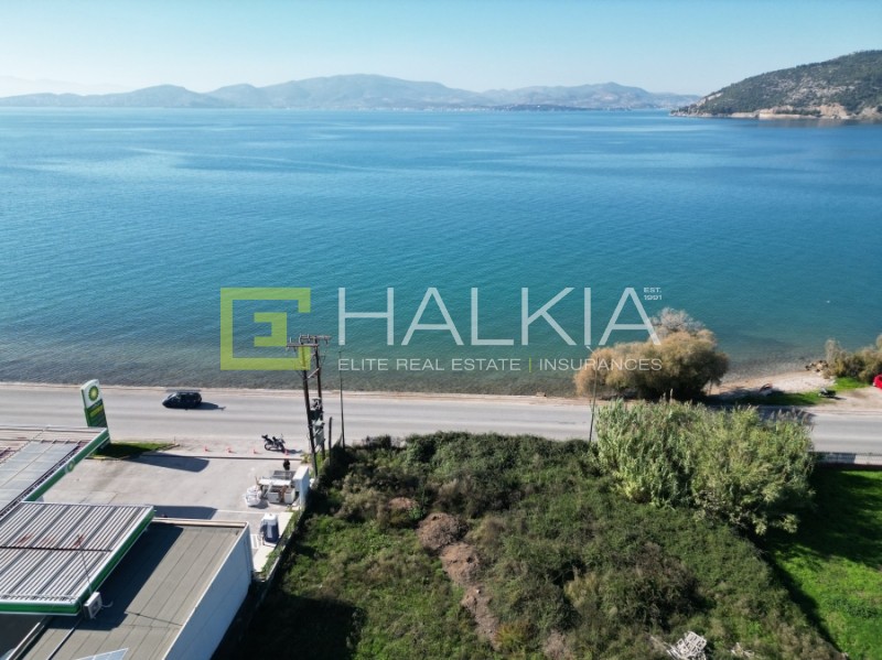 Οικόπεδο 1.828 τ.μ. πρός πώληση, Μαγνησία, Αγριά